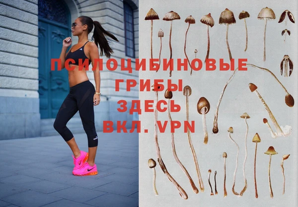 Альфа ПВП Ростов