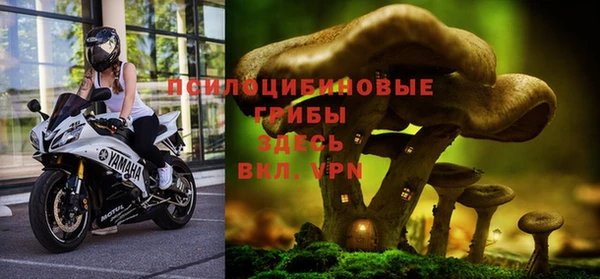 Альфа ПВП Ростов