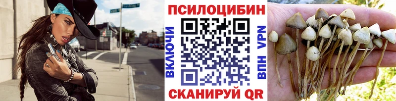 Псилоцибиновые грибы Psilocybe  даркнет сайт  blacksprut ссылка  Среднеколымск 